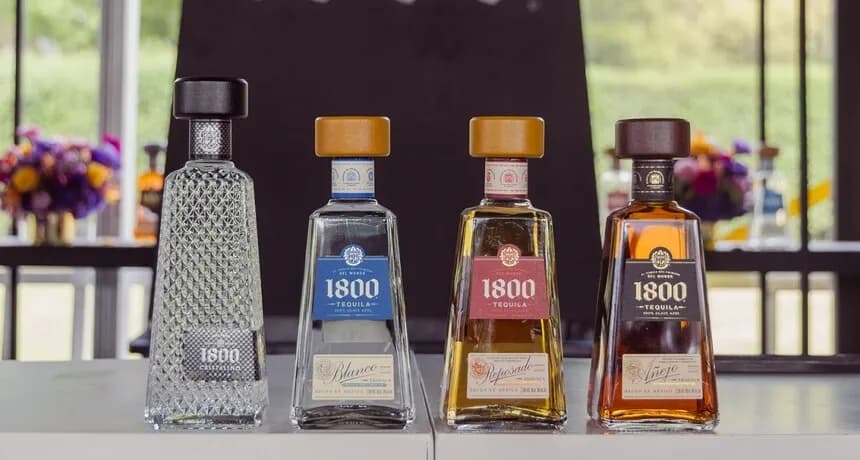 Skąd pochodzi tequila? Odkryj jej fascynującą historię i tradycje