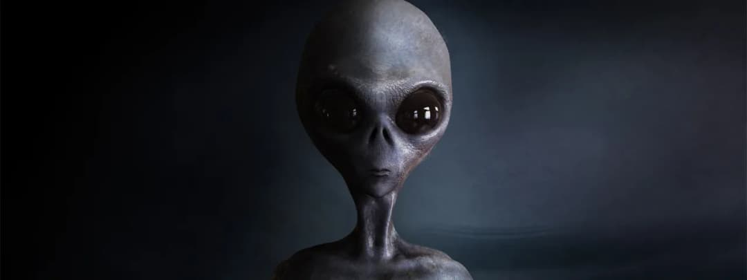 Kim jest istota z NWK24? Tajemniczy byt w teoriach spiskowych