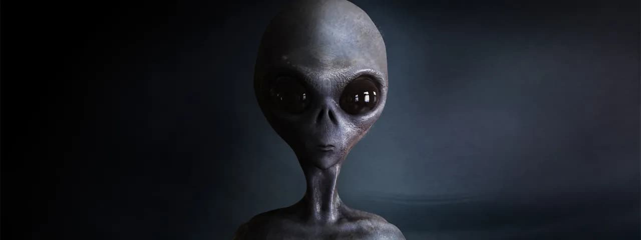 Kim jest istota z NWK24? Tajemniczy byt w teoriach spiskowych