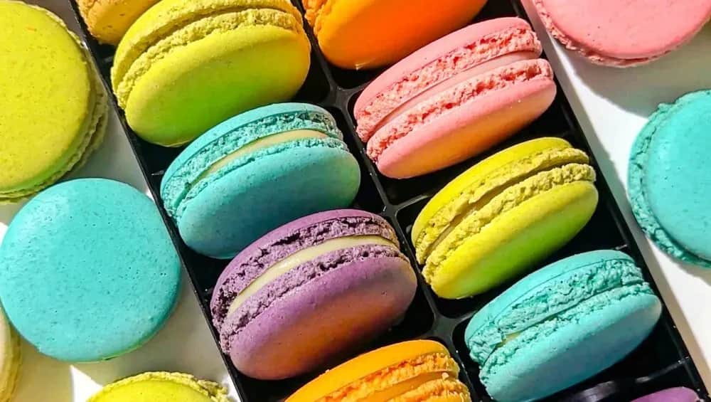 Skąd pochodzą makaroniki? Fascynująca historia ich ewolucji