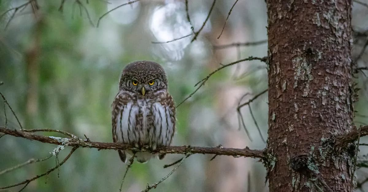 Top 10 filmów animowanych dla studentów SGGW