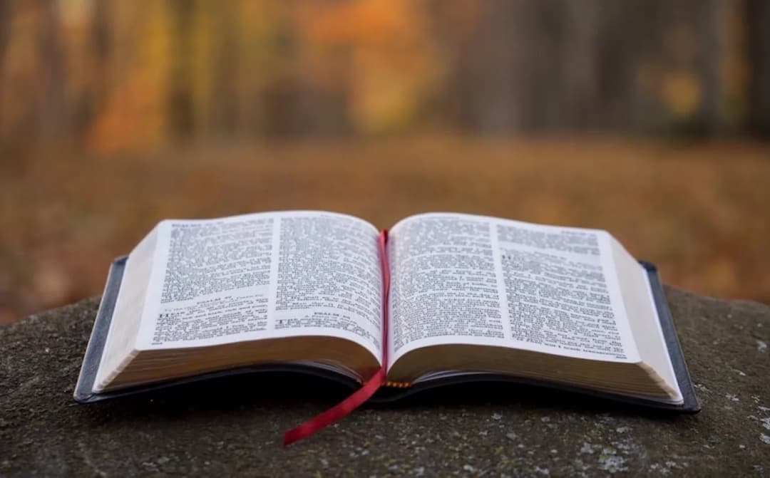 Zaopiekuj się mną - książka o miłości i przemianach, która zostaje w pamięci